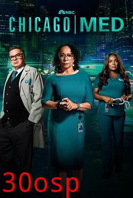 芝加哥急救第九季