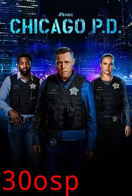 芝加哥警署第十一季