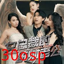 女总裁的统帅老公