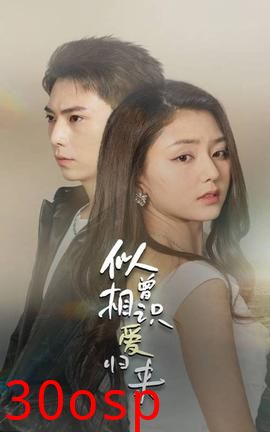 似曾相识爱归来