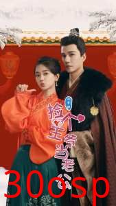 捡个王爷当老公