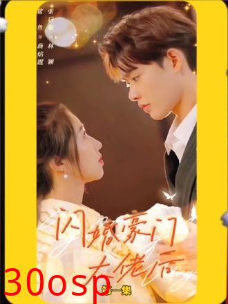 闪婚豪门大佬后