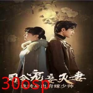 司令宠妾灭妻，我转身出府嫁少帅