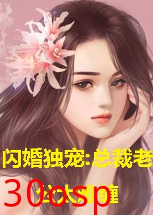 闪婚独宠，总裁老公太难缠