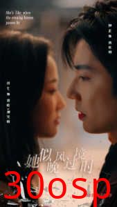 她似晚风过境时