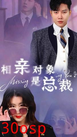 相亲对象是总裁