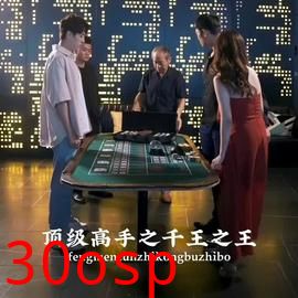 顶级高手之千王之王