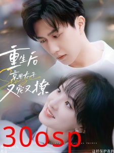 重生后京圈太子又宠又撩