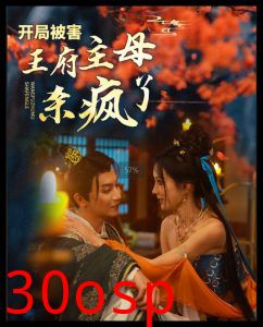 开局被害王府主母杀疯了