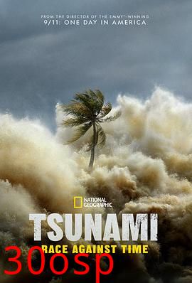 海啸：与时间赛跑