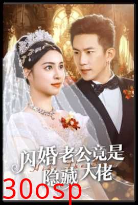 闪婚老公竟是隐藏大佬