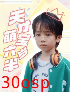 天才萌宝六岁半