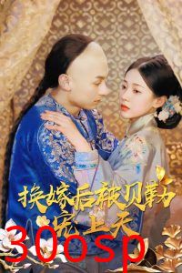 换嫁后被贝勒宠上天