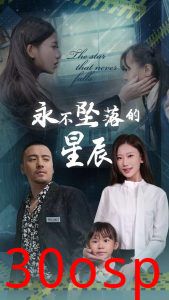 永不坠落的星辰