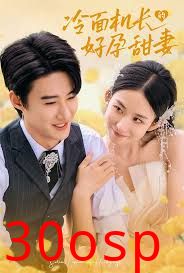 冷面机长的好孕甜妻