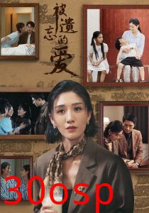 被遗忘的爱短剧