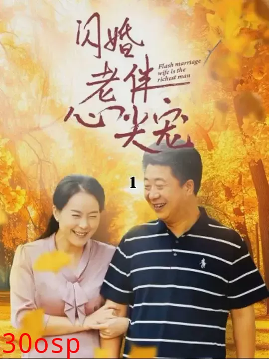 再回首闪婚之仍是心尖宠