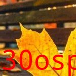 泪成河，唤母归