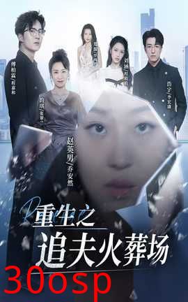 重生之追夫火葬场