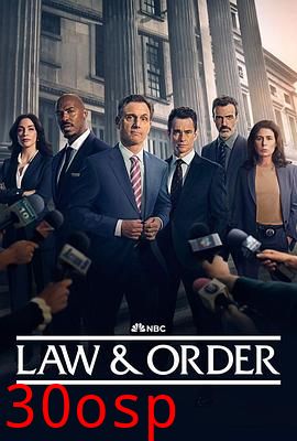 法律与秩序第二十四季