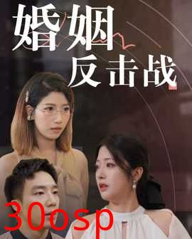 婚姻反击战