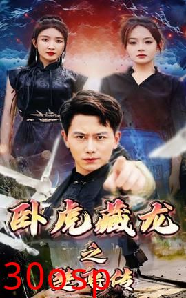 卧虎藏龙之楚飞传