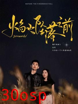 焰火坠落之前