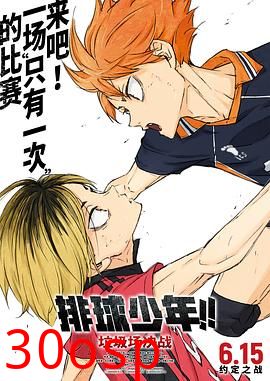 排球少年！！垃圾场决战