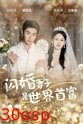 闪婚妻子是世界首富