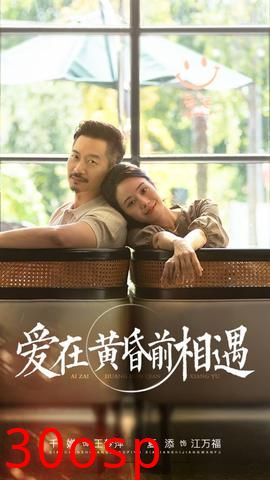 爱在黄昏前相遇