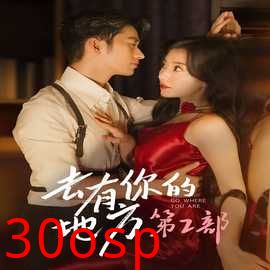 去有你的地方第2部