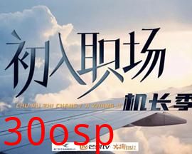 初入职场·机长季