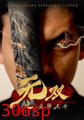 无双之最强老爸