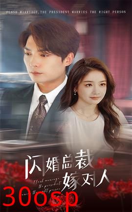 闪婚总裁嫁对人