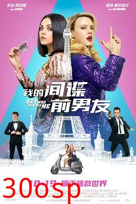 我的间谍前男友