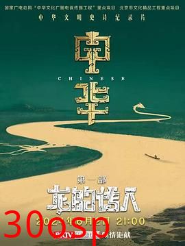 中华：龙的传人
