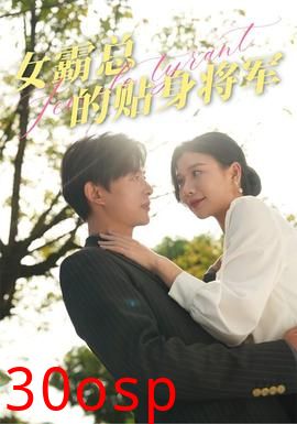 女霸总的贴身将军