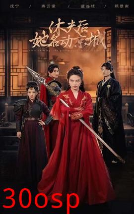 休夫后她名动京城