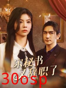 宋秘书又辞职了