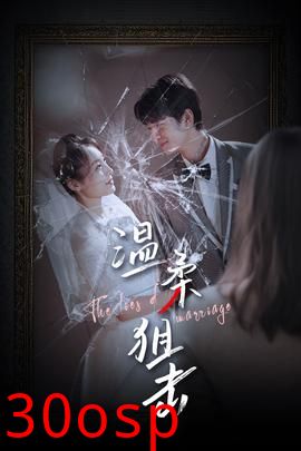 温柔狙击&婚姻迷雾