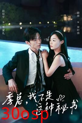 季总，我不是这种秘书