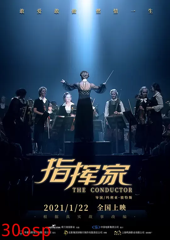 指挥家【影视解说】