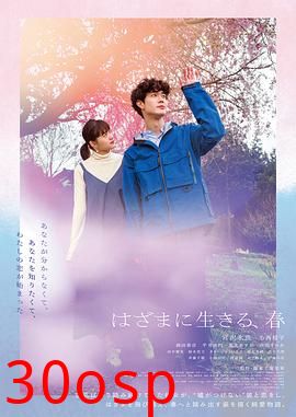 夹缝中活着，小春