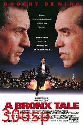布朗克斯的故事(剧情解说）