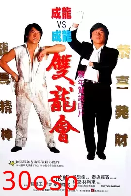 双龙会【影视解说】