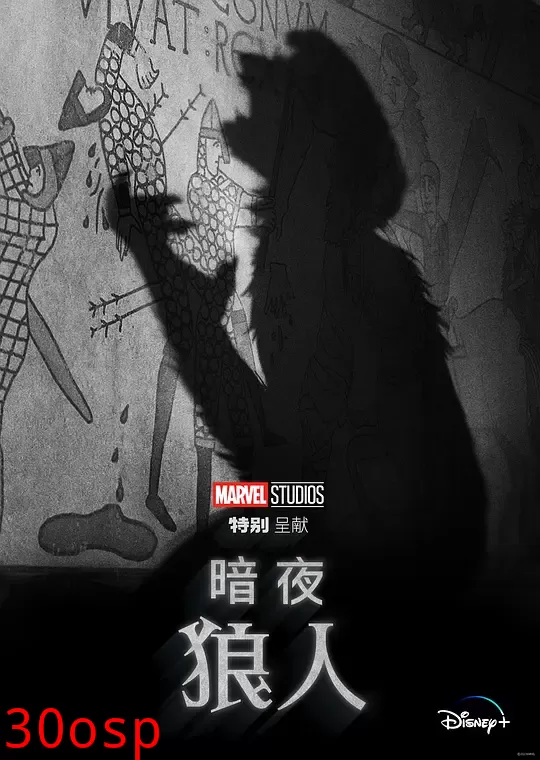 暗夜狼人【影视解说】