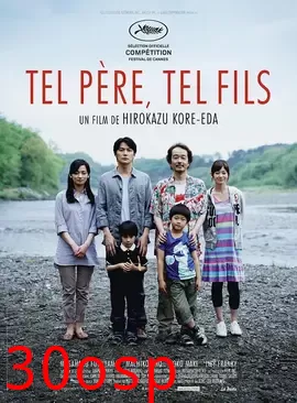 如父如子【影视解说】