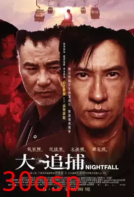 大追捕【影视解说】