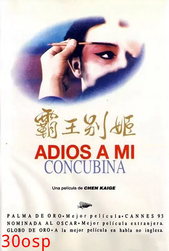 霸王别姬【影视解说】