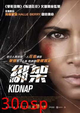 绑架【影视解说】
